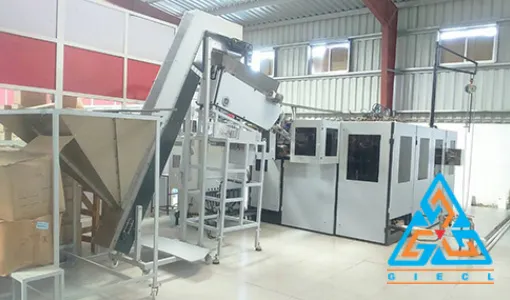 Automatic Pet Blow Moulding Machine