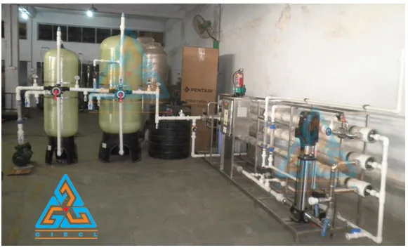 Brackish Water Plant